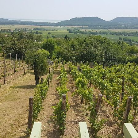 Grand Cru 4 Vendeghaz Βίλα Hegymagas Εξωτερικό φωτογραφία