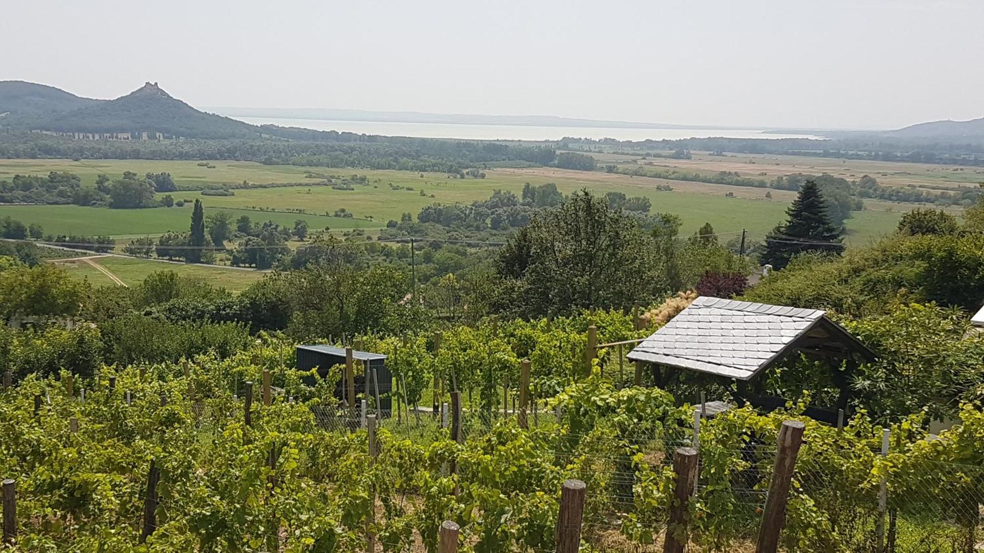 Grand Cru 4 Vendeghaz Βίλα Hegymagas Εξωτερικό φωτογραφία